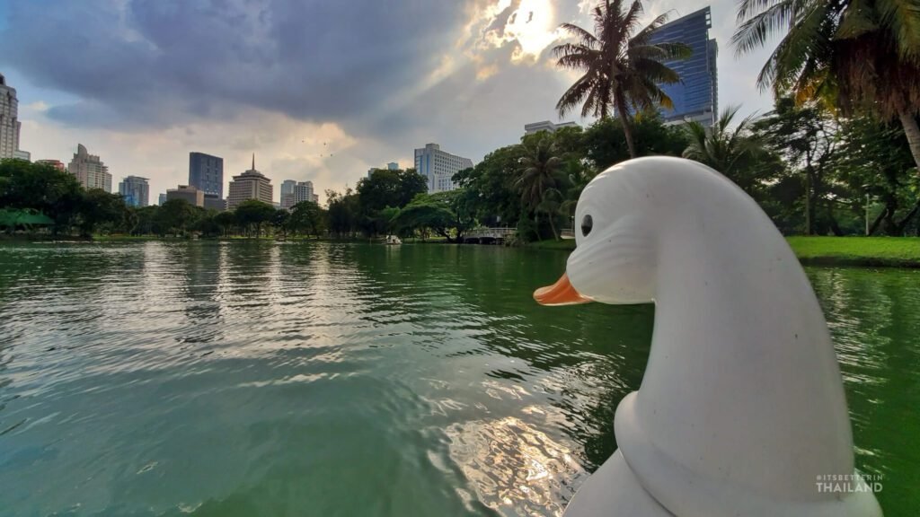 Lumpini lake with duck boat